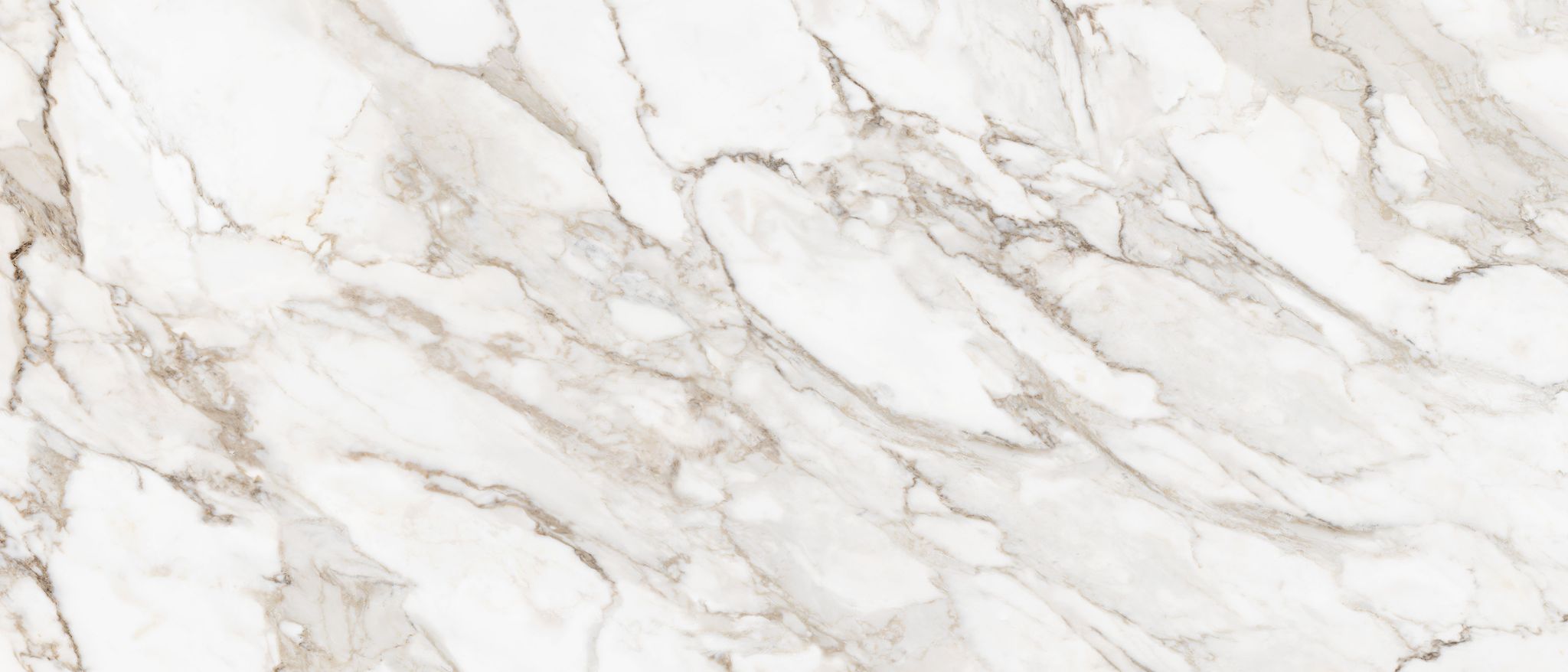 Royal Stoneworks 48X110 Calacatta Royale Polished | Tiles By Kia