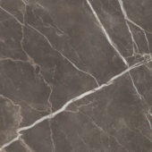 Royal Stoneworks 48X48 Regal Brown Marble Honed | Tiles By Kia