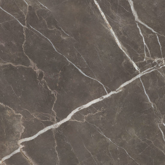 Royal Stoneworks 48X48 Regal Brown Marble Honed | Tiles By Kia