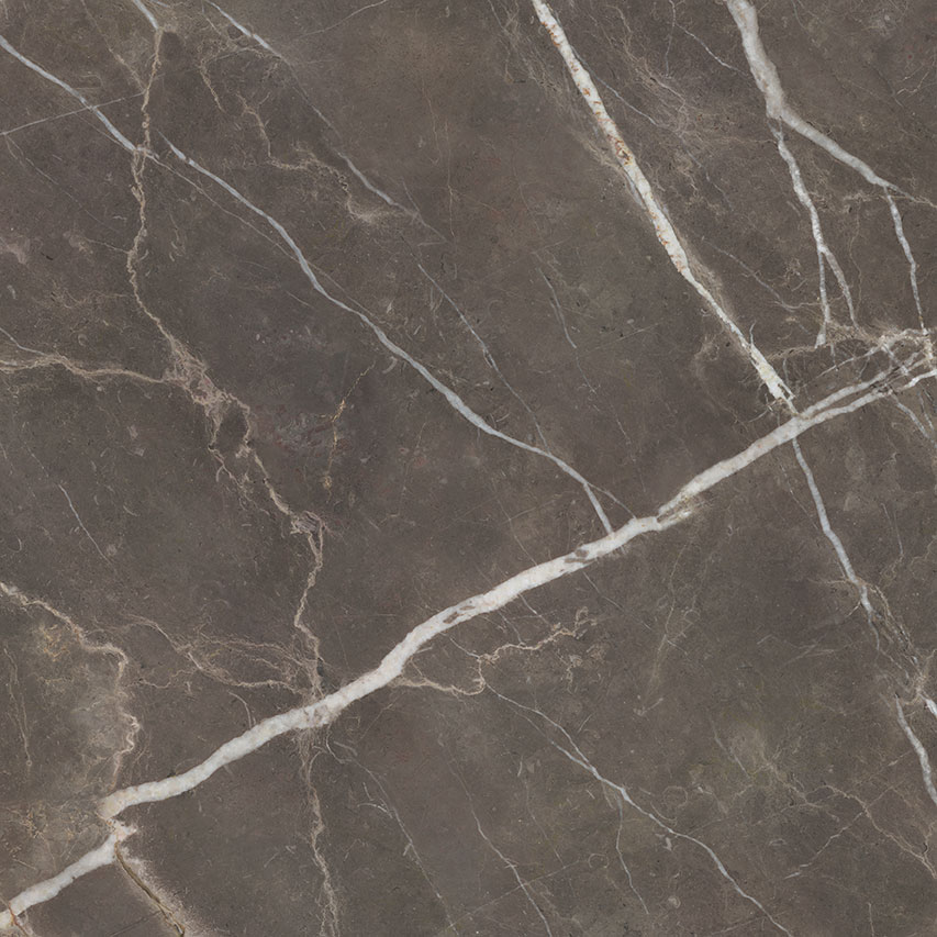 Royal Stoneworks 48X48 Regal Brown Marble Polished | Tiles By Kia