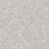 Royal Stoneworks 48X48 Regal Fossil Vein Honed | Tiles By Kia