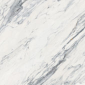 Royal Stoneworks 48X48 Regal White Vein Honed | Tiles By Kia
