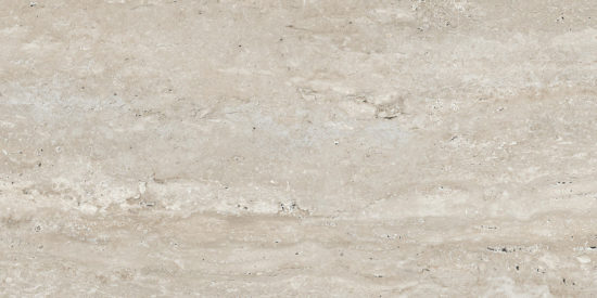 Saturnia 12x24 Silver Matte | Tiles By Kia