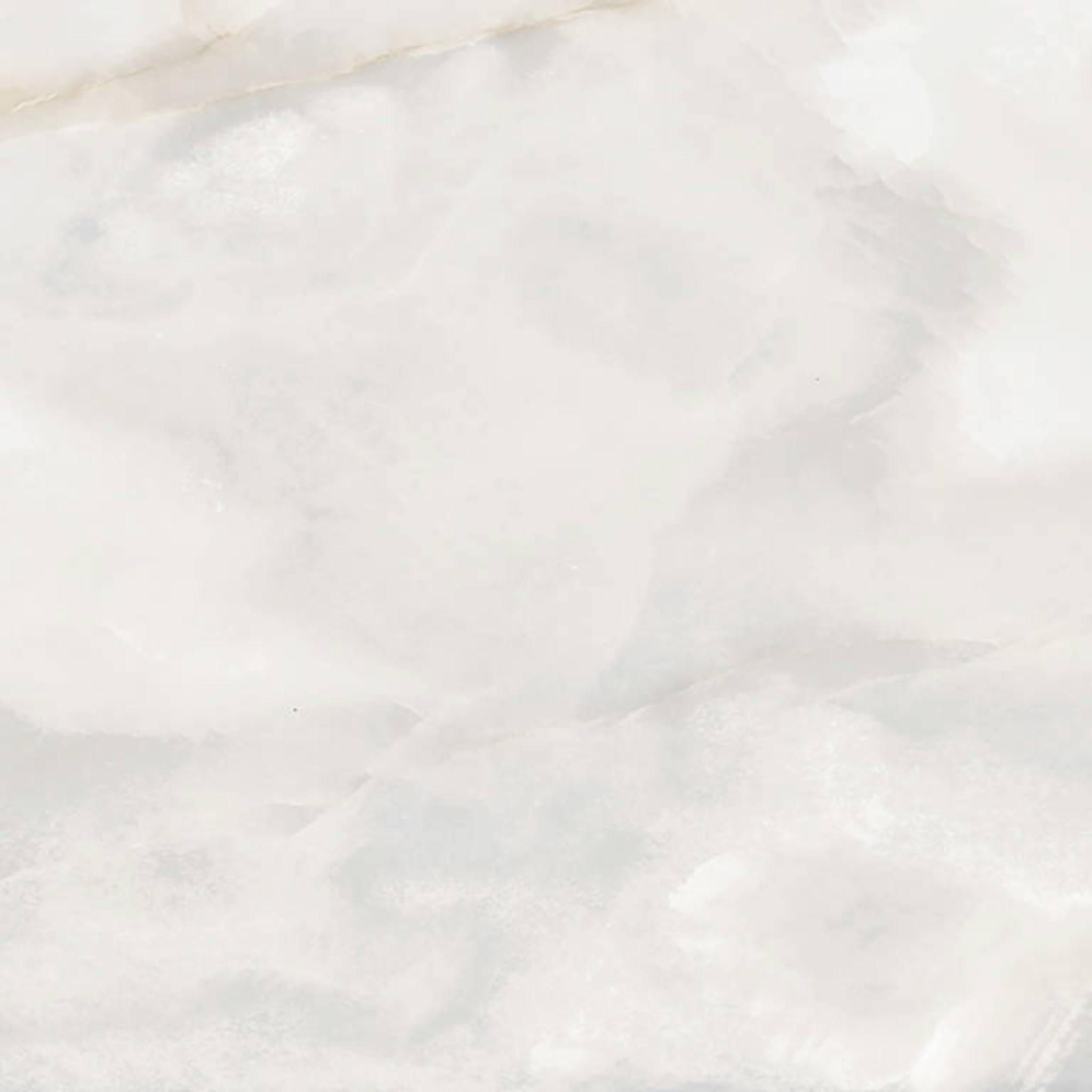Rendezvous White Matte 24×24