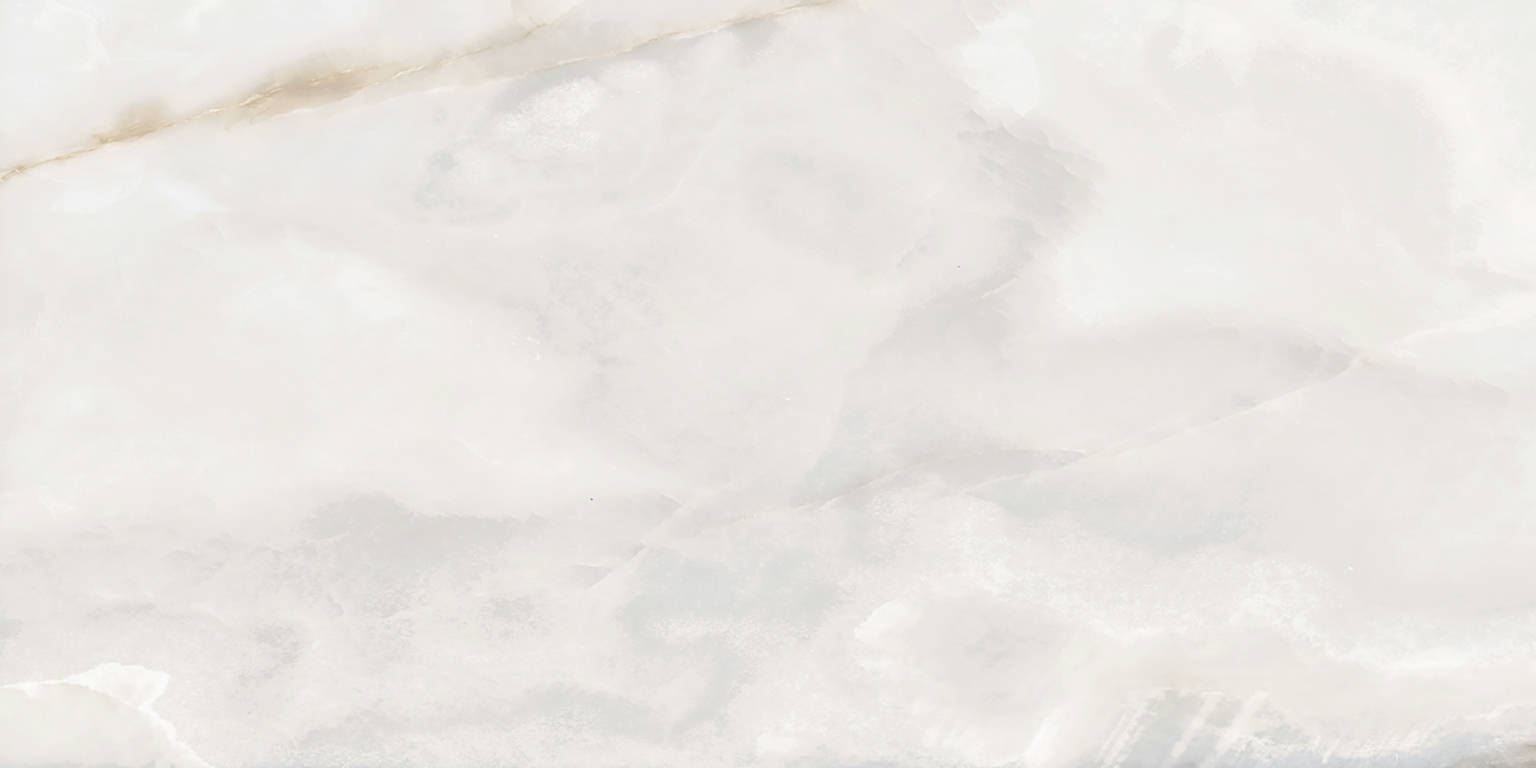Rendezvous White Matte 24×48